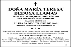 María Teresa Bedoya Llamas
